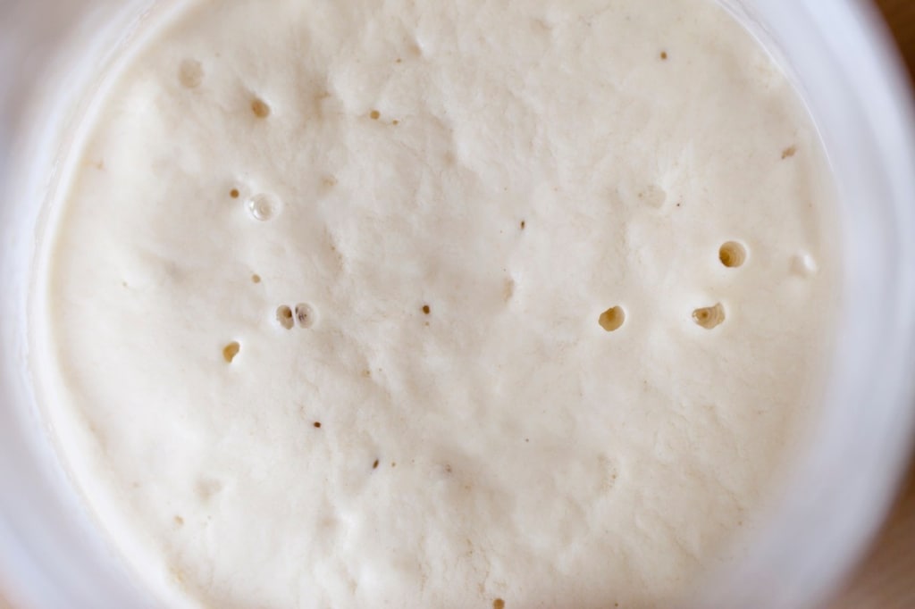 Ricetta Lievito Madre A Coltura Liquida Licoli Cucchiaio D Argento