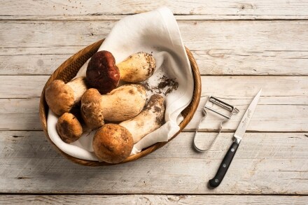 Preparazione Insalata di funghi porcini - Fase 1