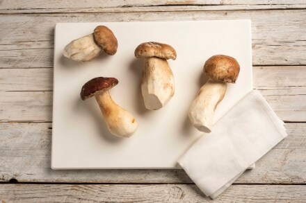 Preparazione Insalata di funghi porcini - Fase 1