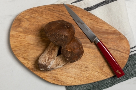 Preparazione Orata con i funghi porcini - Fase 1 Preparazione Orata con i funghi porcini - Fase 1
