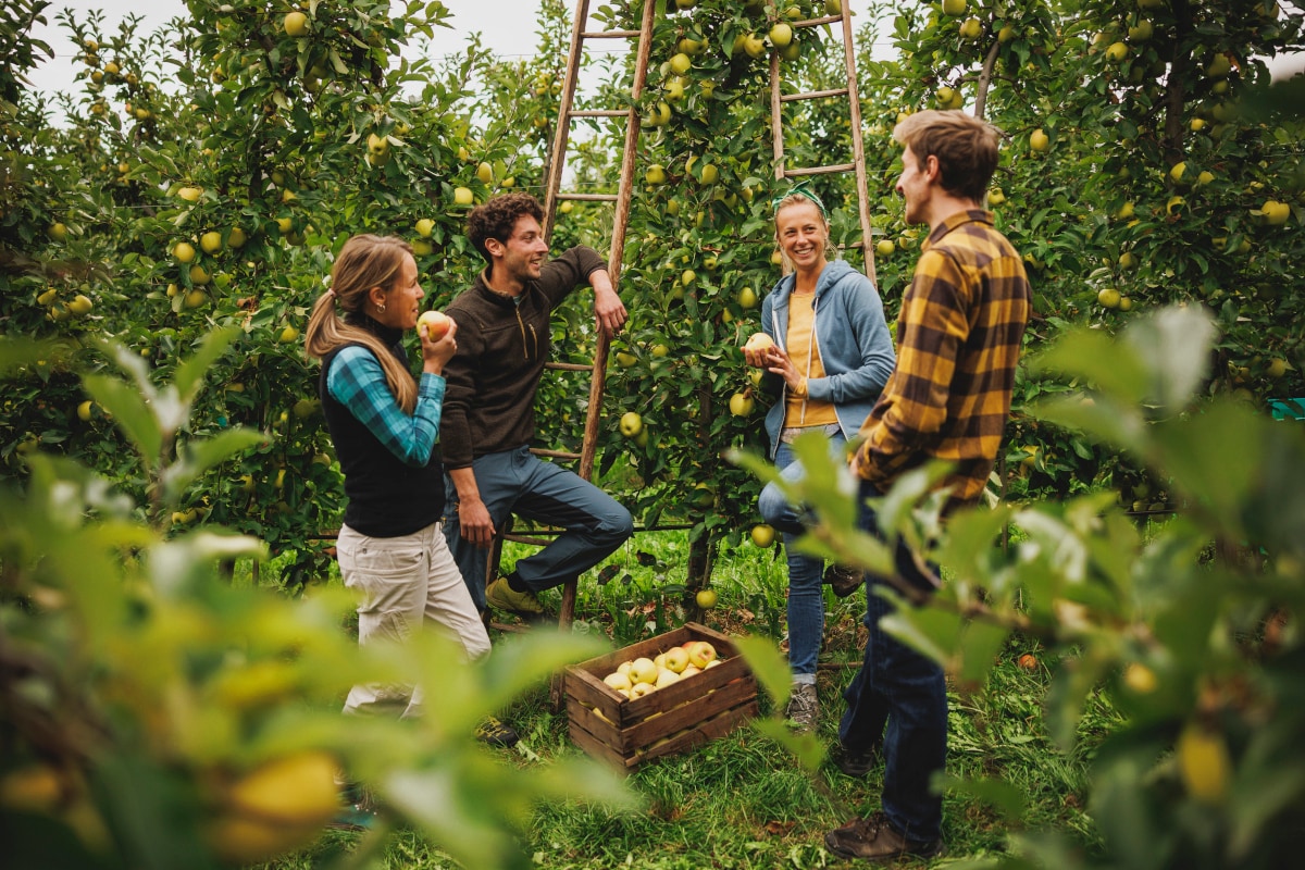 Cosa fare in Trentino in autunno tra desmontegade, vendemmia e buona tavola